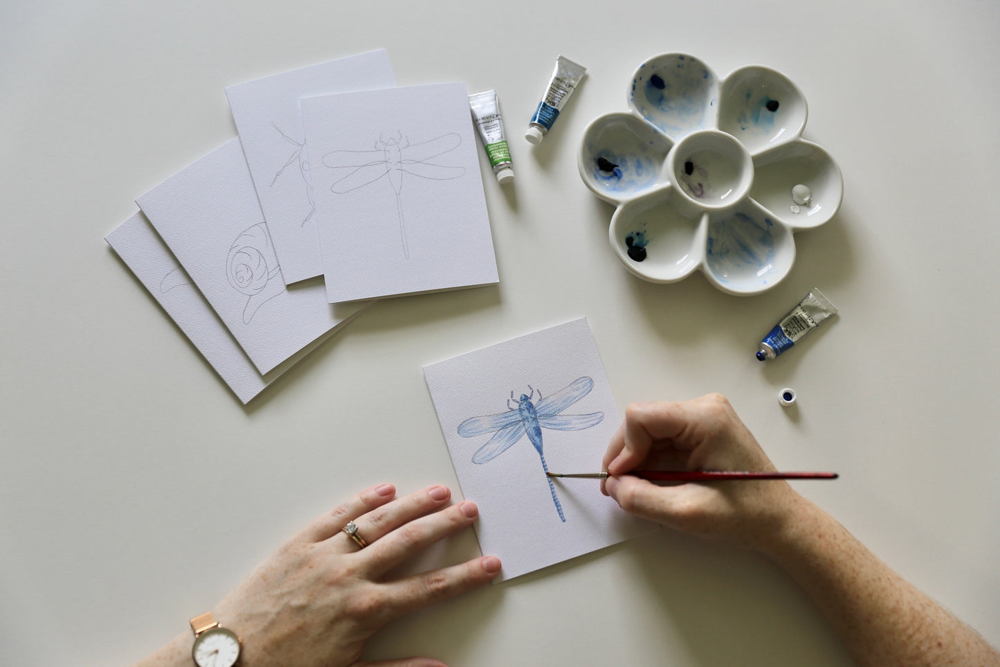 Insects DIY Watercolor Card Kit