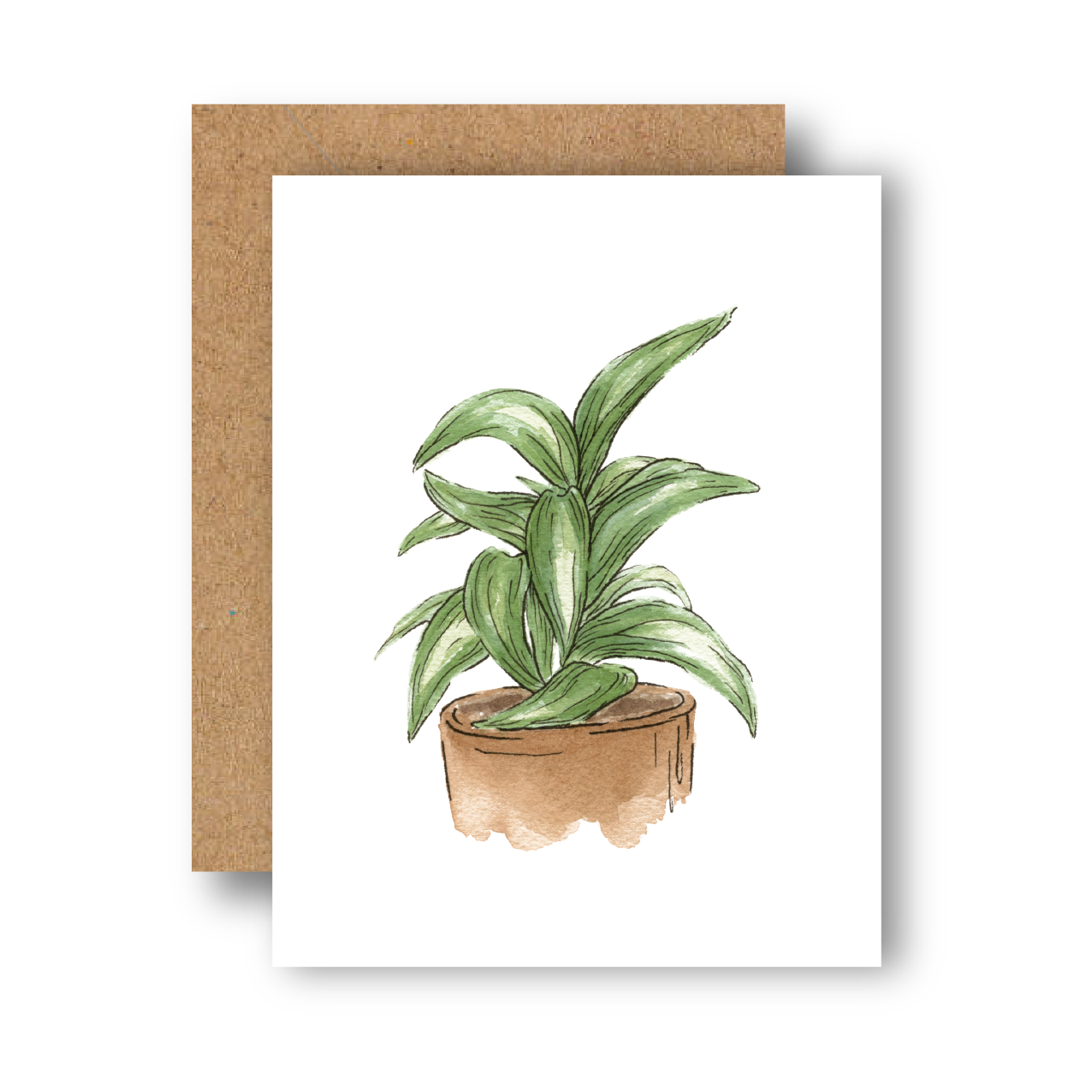 art dracaena plant Dracaena Plant Everyday Greeting Card – ByCarolineAnn
