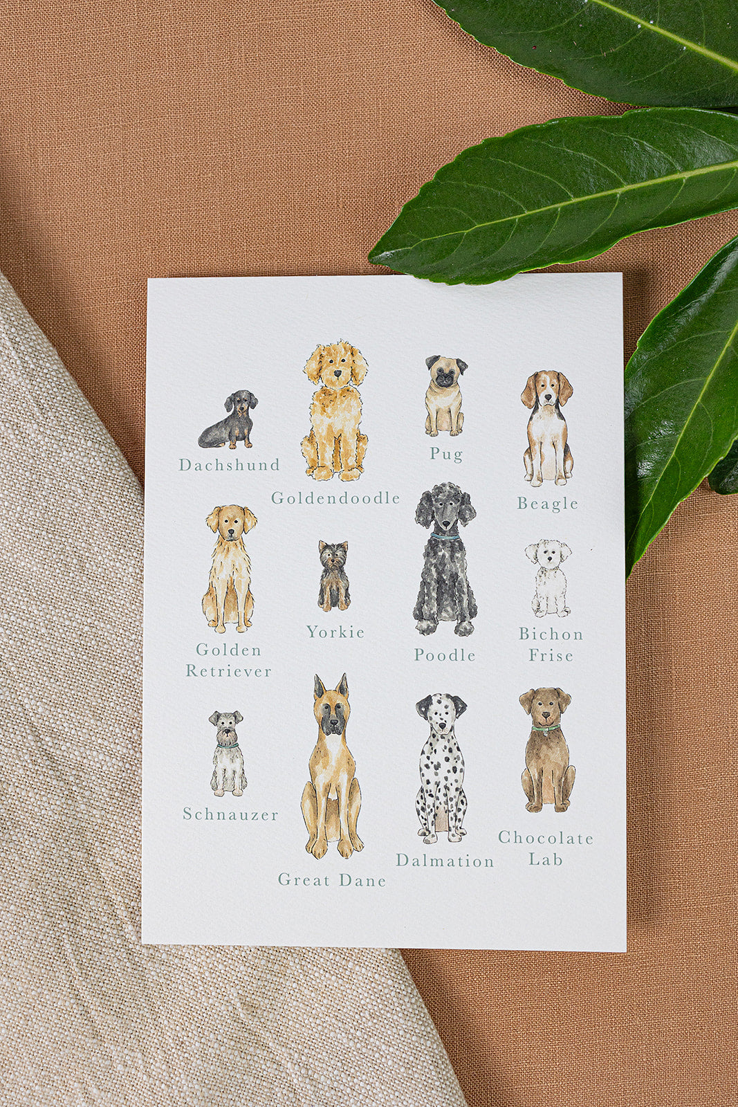 Dog Breeds Art Print