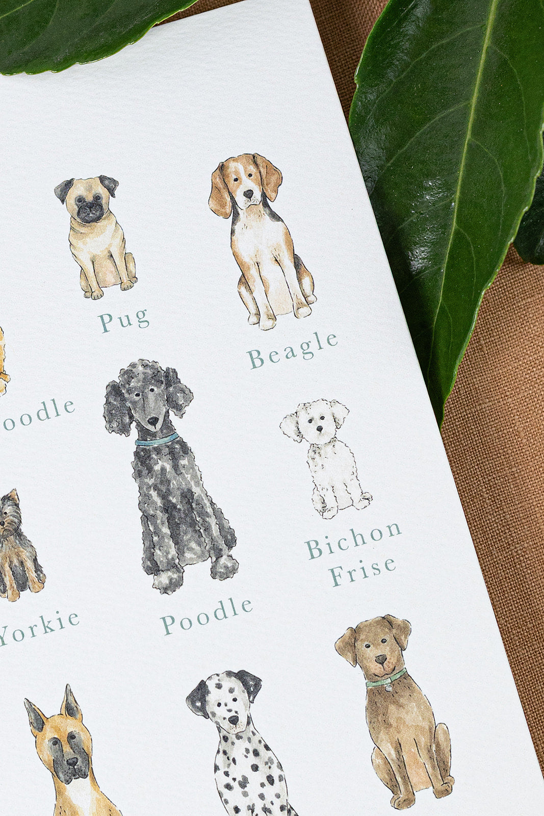 Dog Breeds Art Print