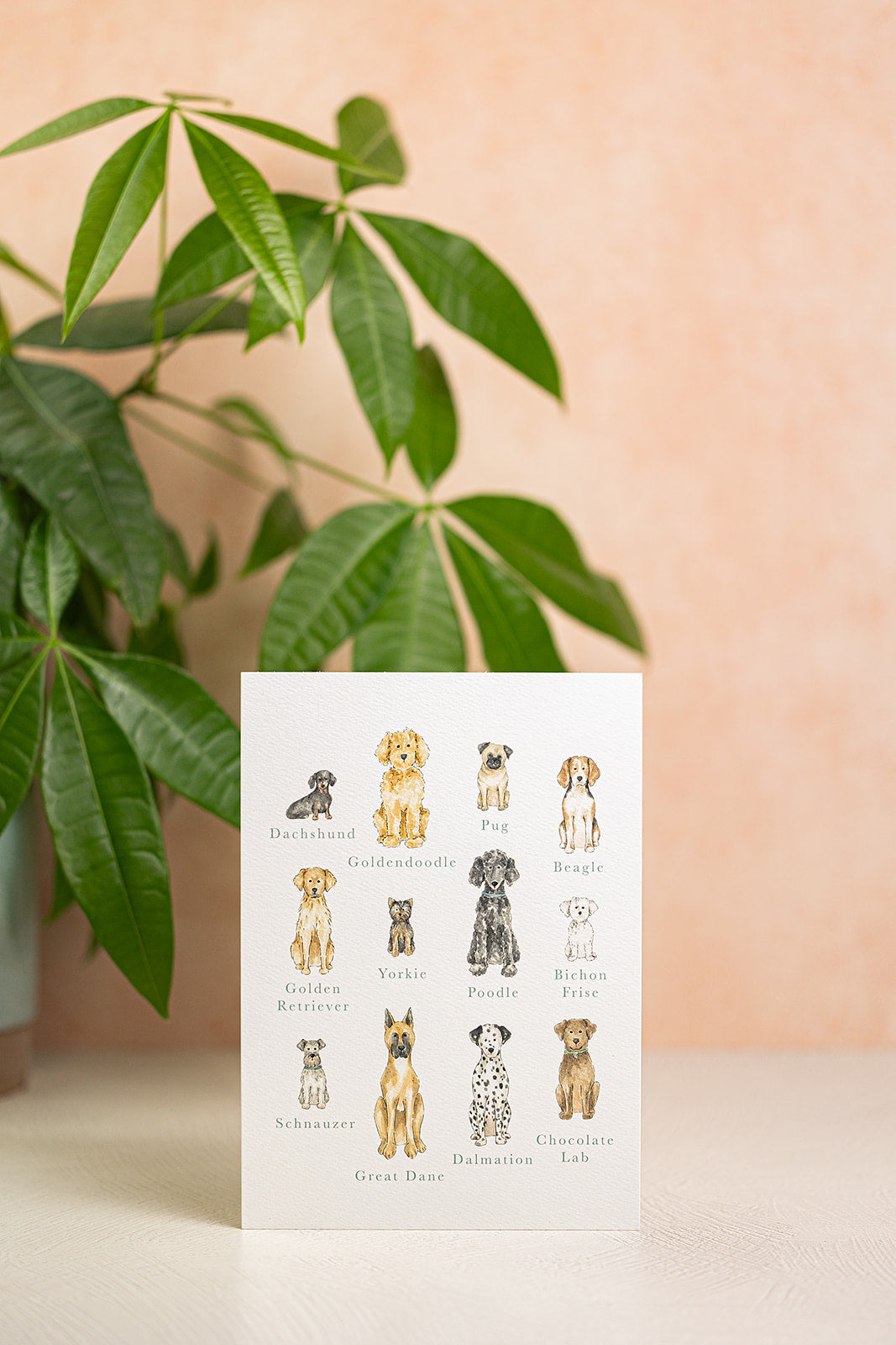 Dog Breeds Art Print