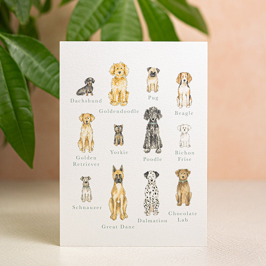 Dog Breeds Art Print