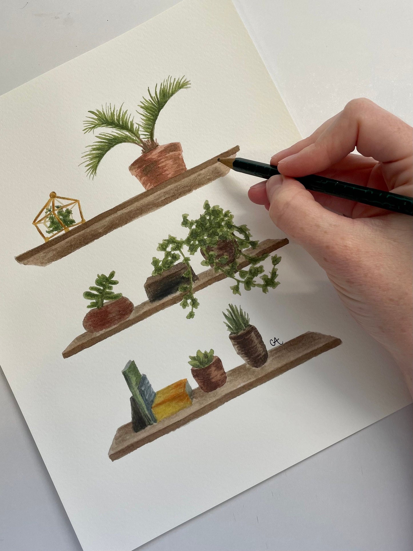 Plant Shelf Art Print