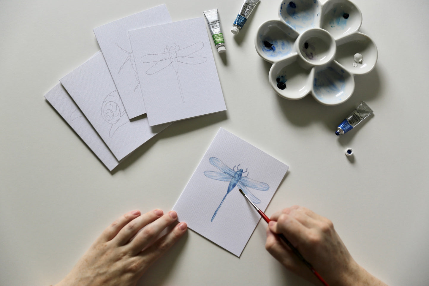 Insects DIY Watercolor Card Kit