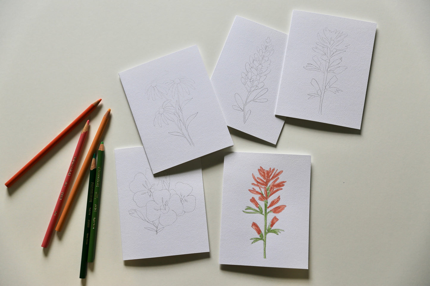 Texas Wildflowers DIY Watercolor Card Kit