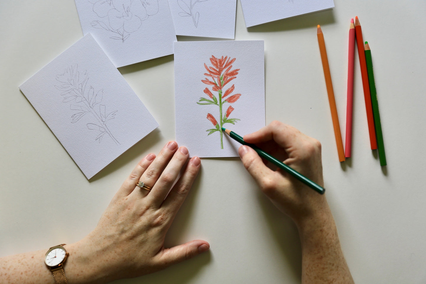 Texas Wildflowers DIY Watercolor Card Kit