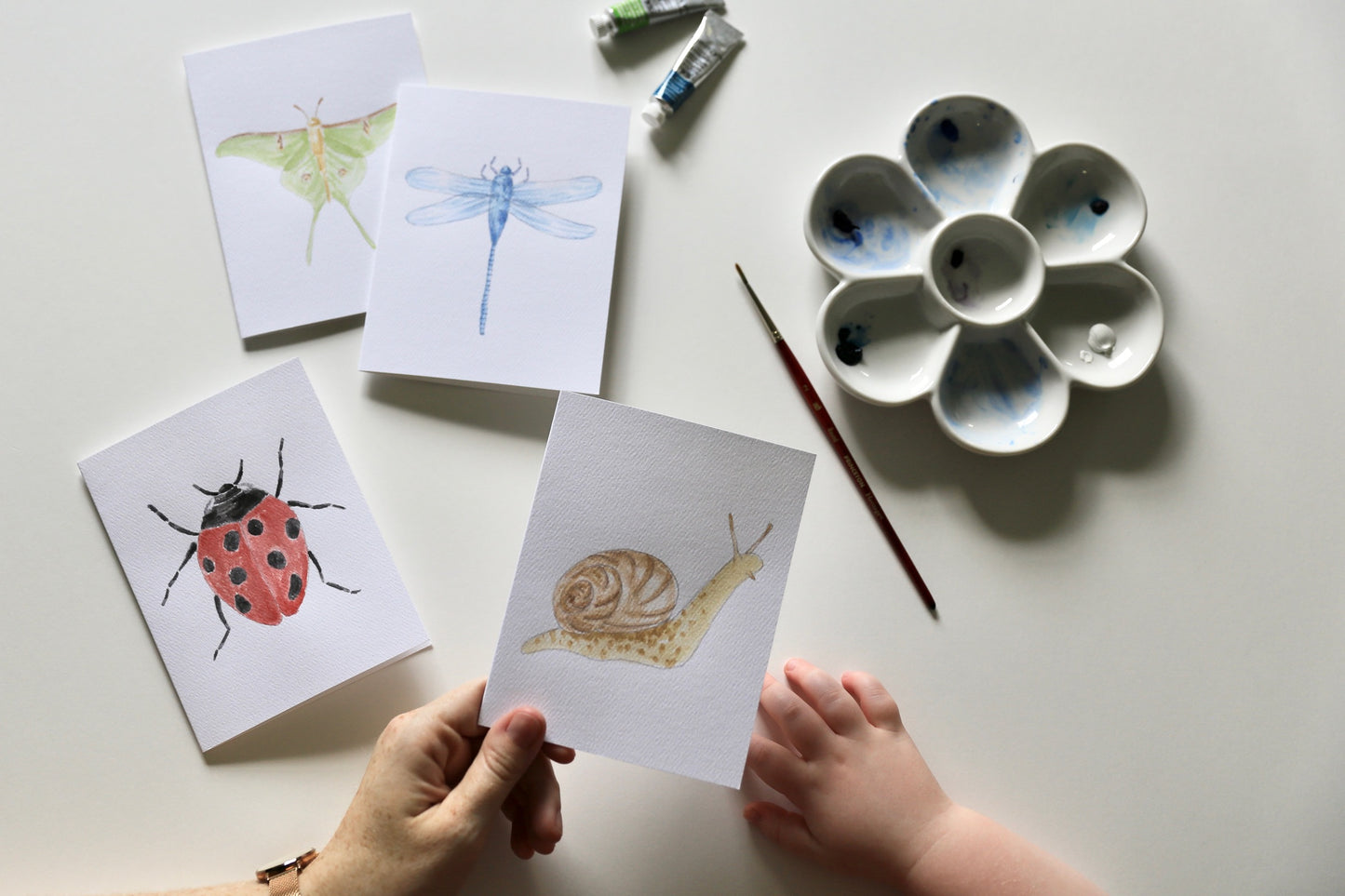 Insects DIY Watercolor Card Kit