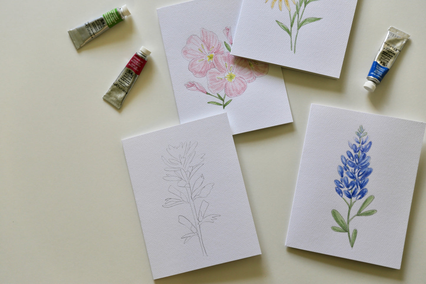 Texas Wildflowers DIY Watercolor Card Kit