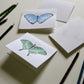 Butterflies DIY Watercolor Card Kit