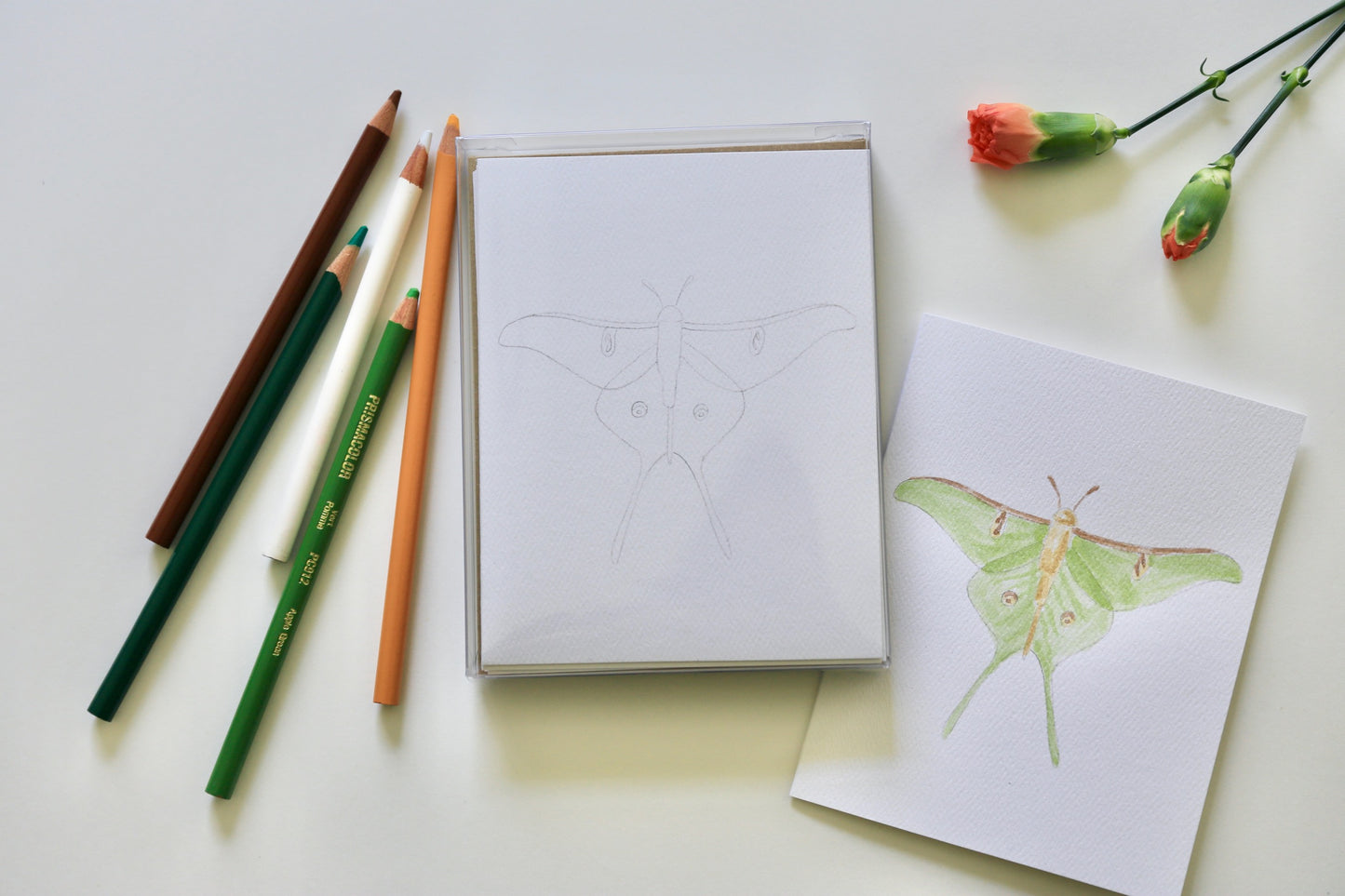 Insects DIY Watercolor Card Kit