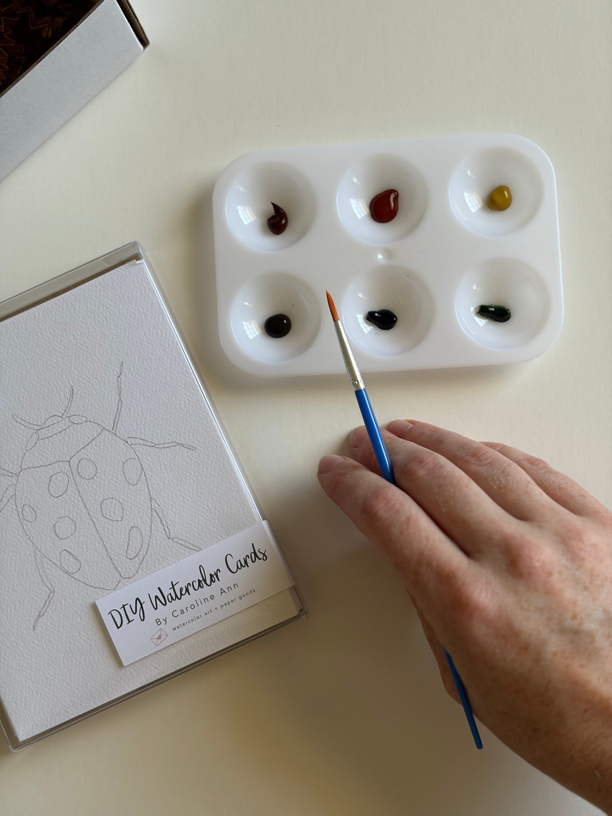 Add-On Paint Set & Paintbrush