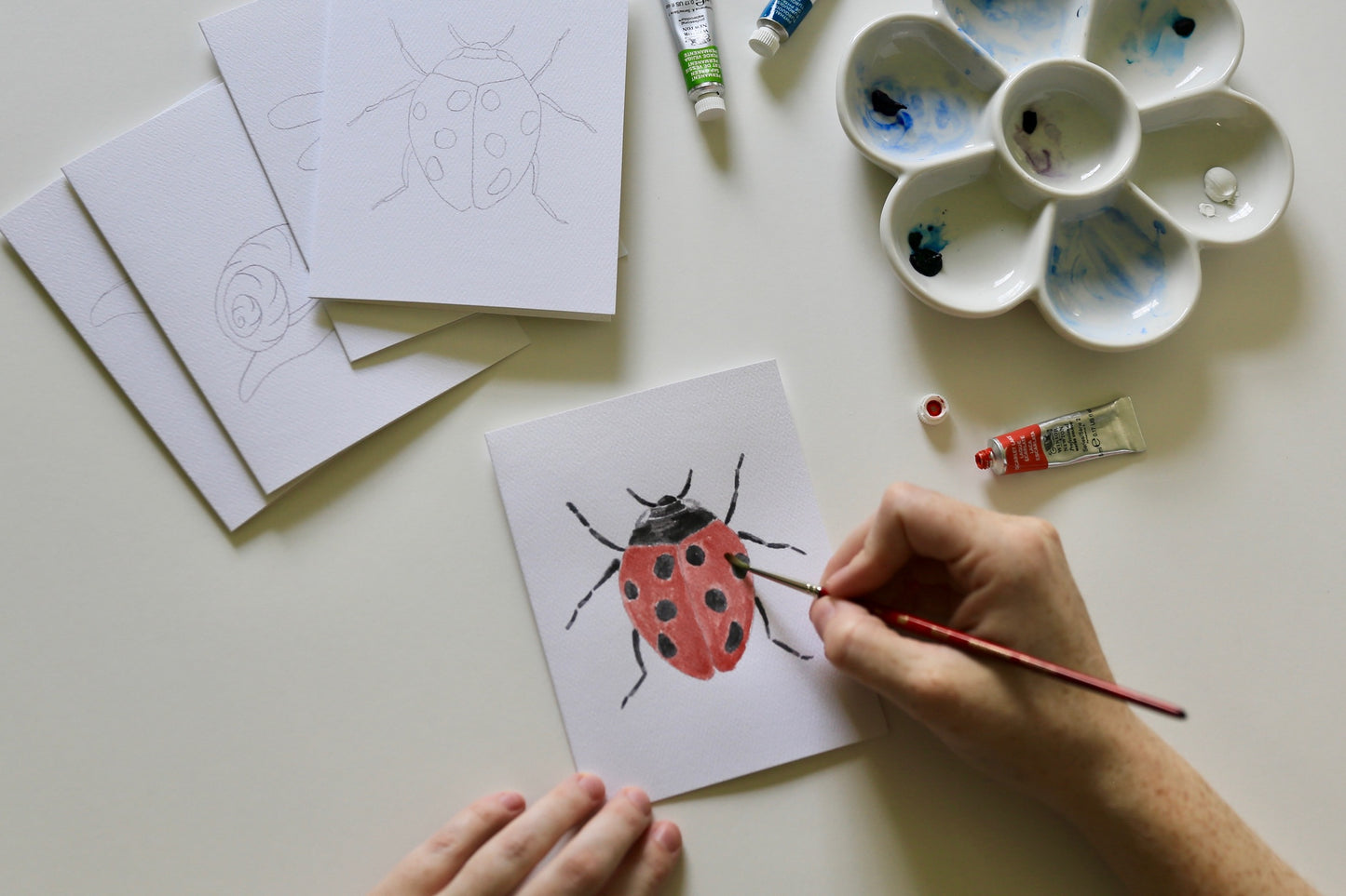 Insects DIY Watercolor Card Kit