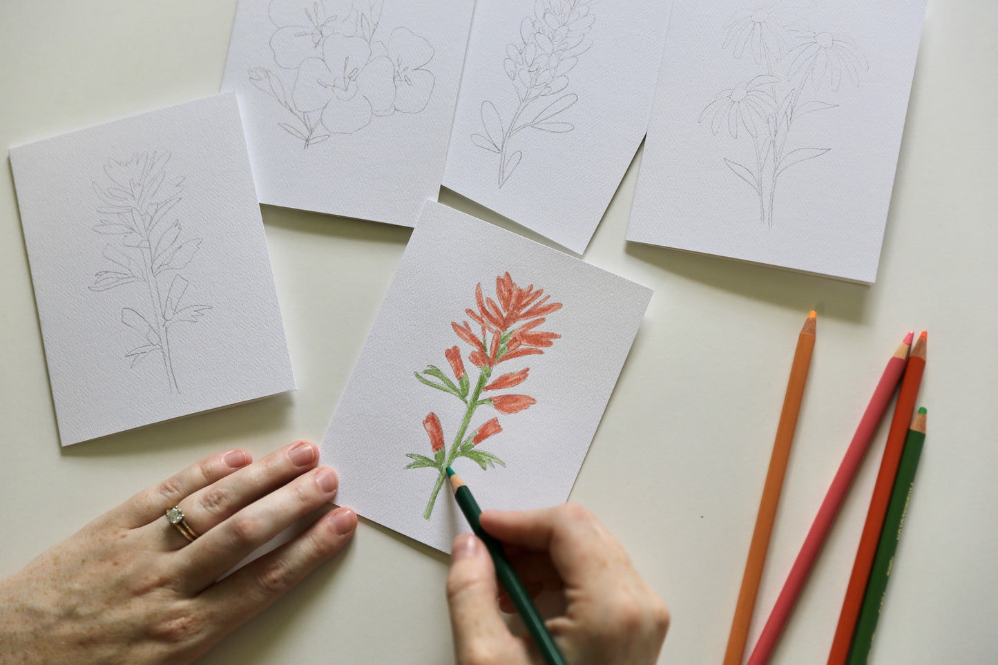 Texas Wildflowers DIY Watercolor Card Kit