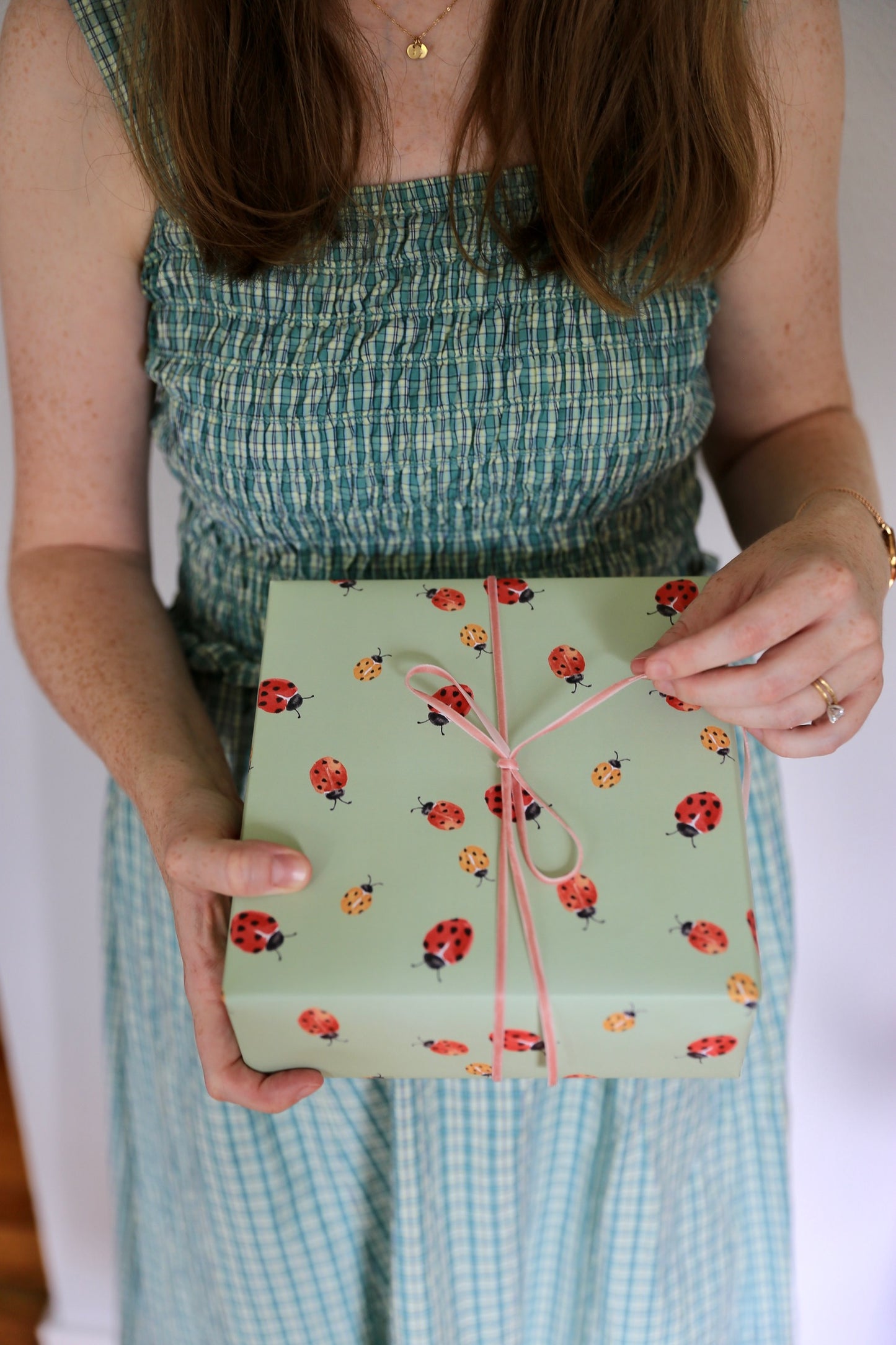Petite Ladybug Gift Wrap