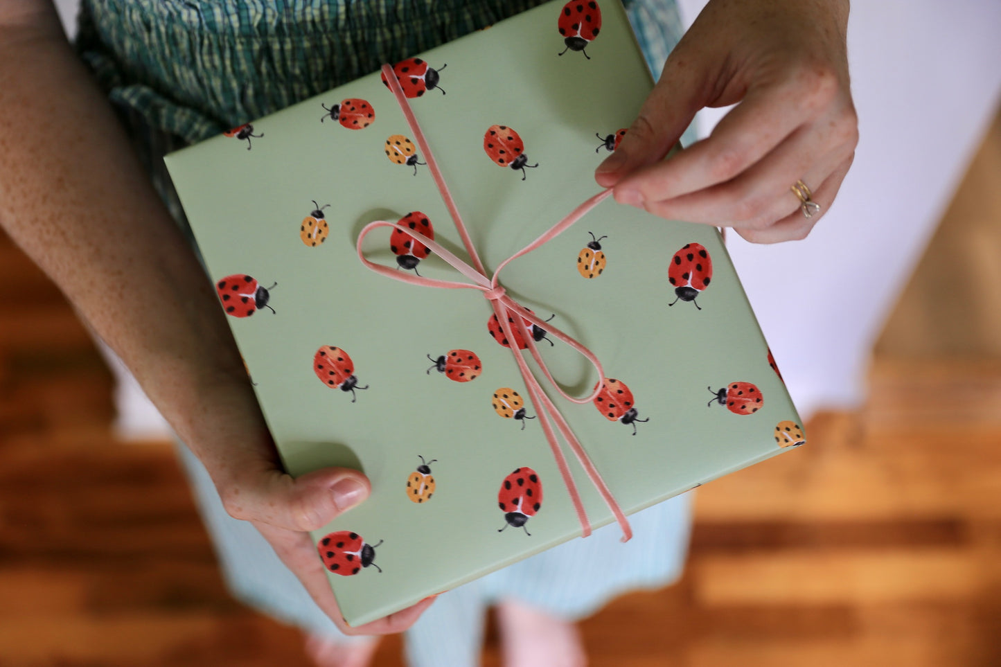 Petite Ladybug Gift Wrap