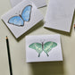 Butterflies DIY Watercolor Card Kit