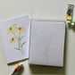 Texas Wildflowers DIY Watercolor Card Kit