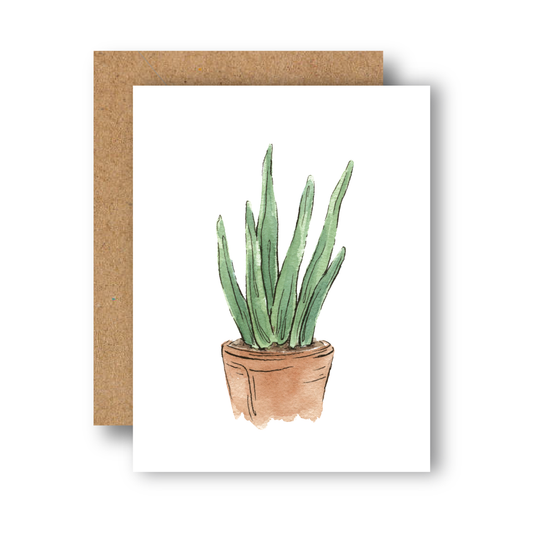 Aloe Plant Everyday Greeting Card