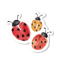 Ladybugs Sticker