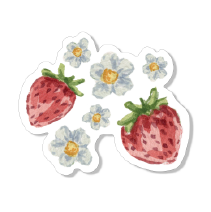 Strawberries Sticker