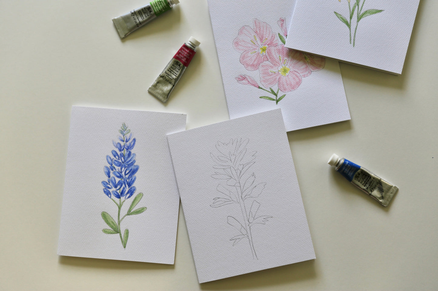 Texas Wildflowers DIY Watercolor Card Kit