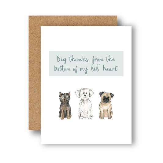 Big Thanks Small Dog Greeting Card