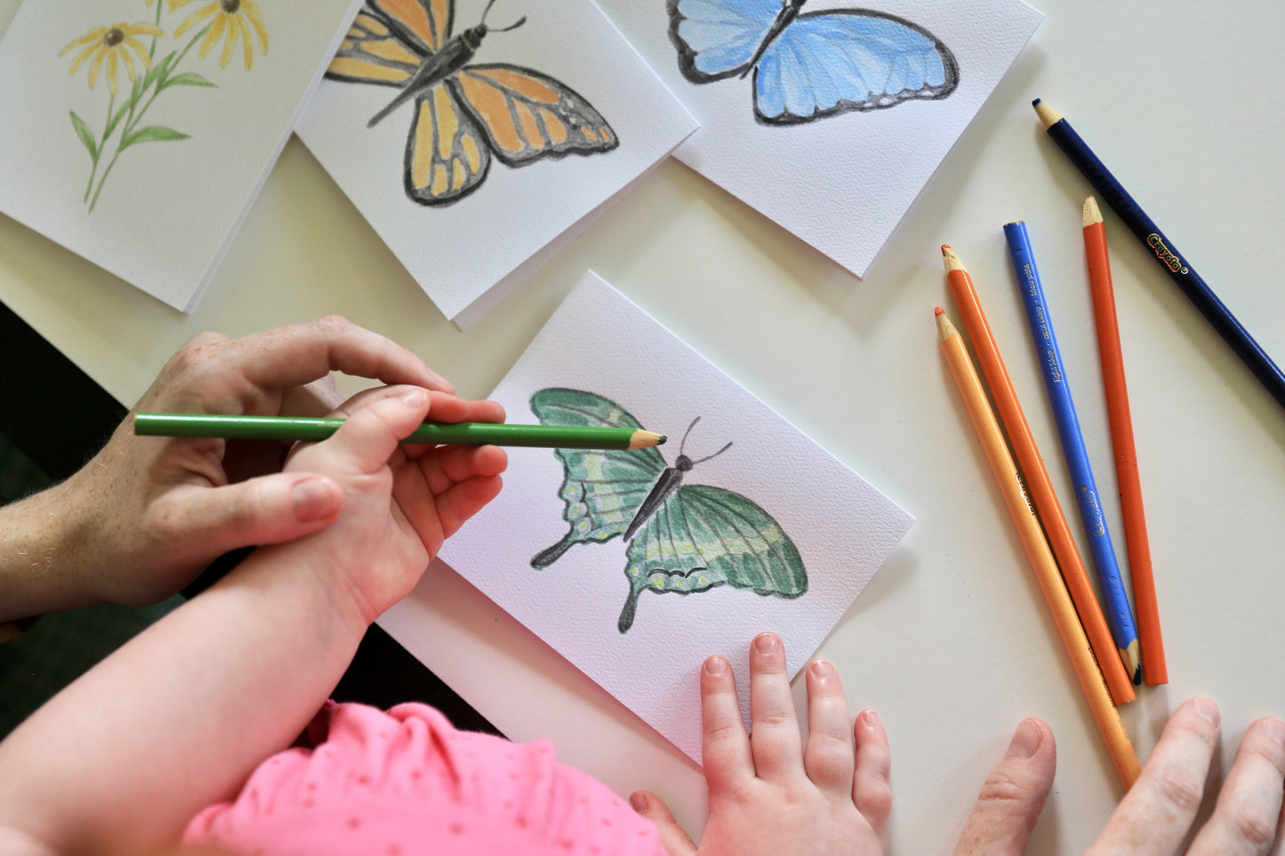 Butterflies DIY Watercolor Card Kit