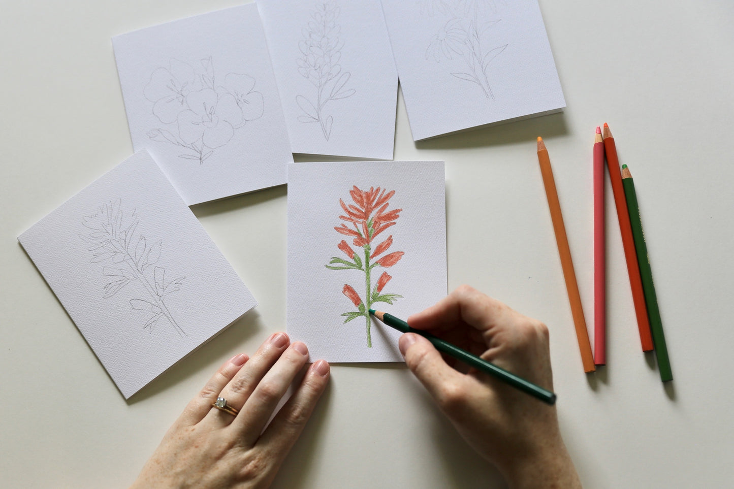 Texas Wildflowers DIY Watercolor Card Kit