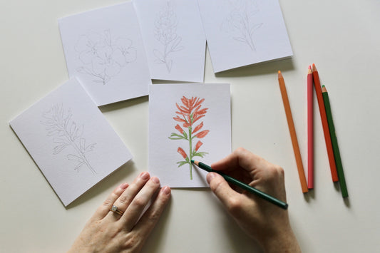 Texas Wildflowers DIY Watercolor Card Kit