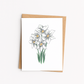 Narcissus Flower Everyday Greeting Card