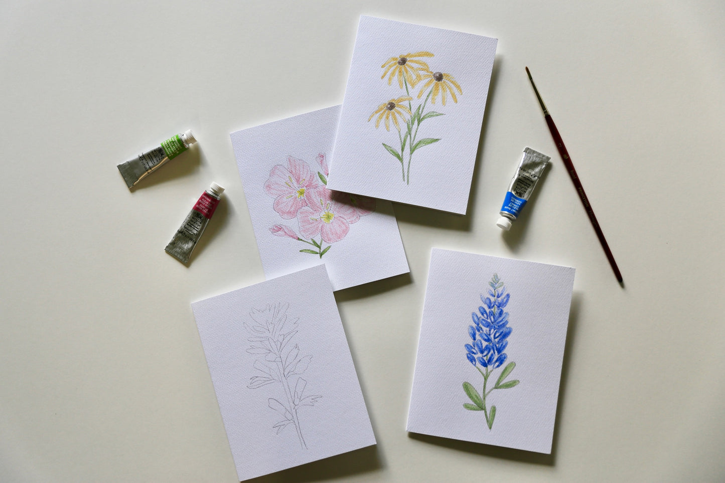 Texas Wildflowers DIY Watercolor Card Kit