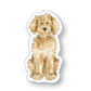 Goldendoodle Sticker