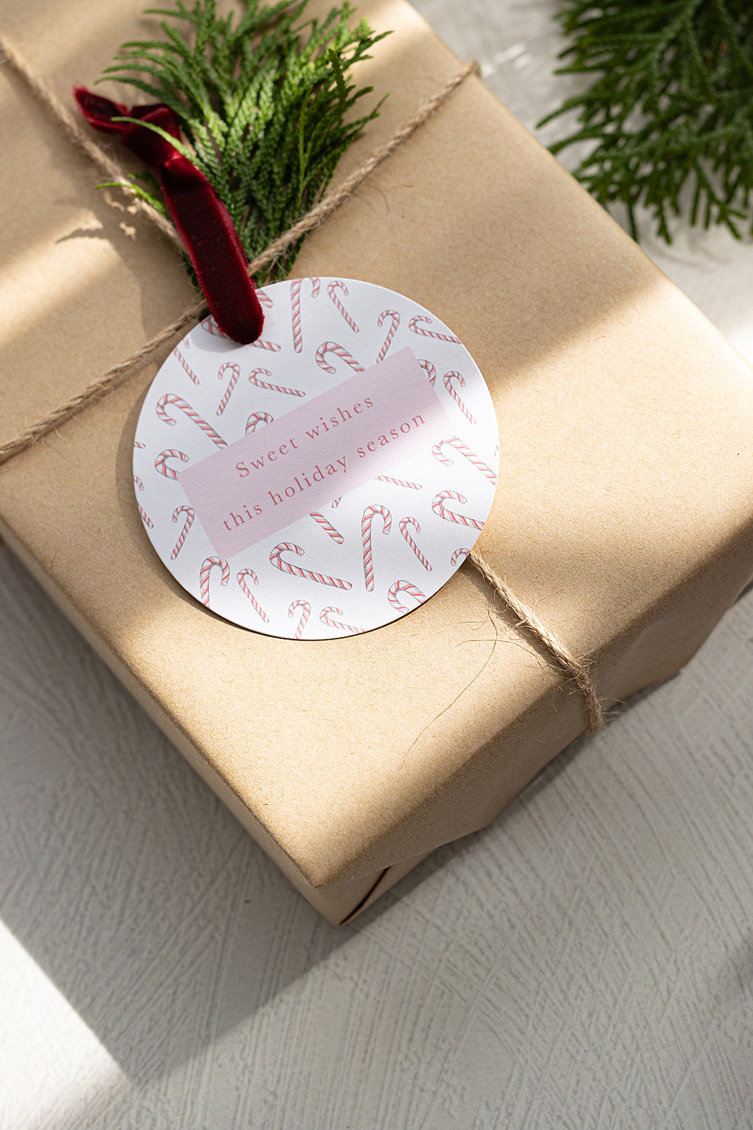 Candy Cane Pattern Sweet Wishes Holiday Luxe Gift Tags