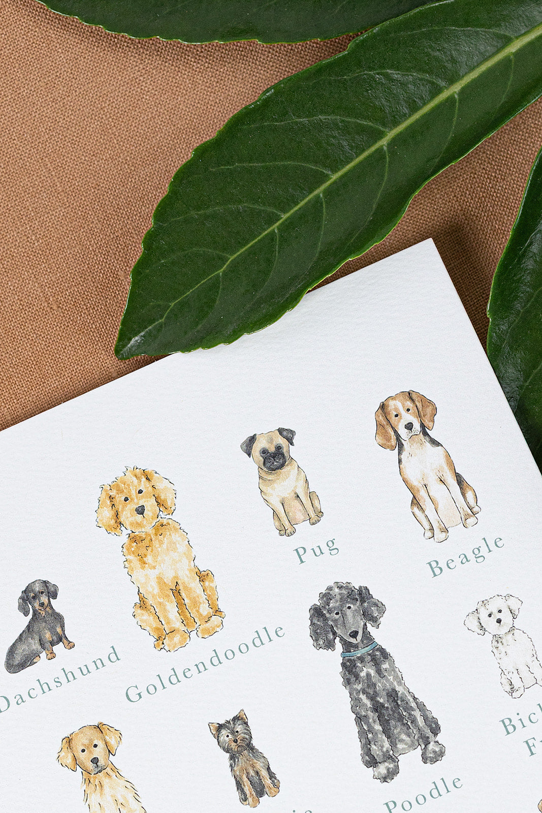 Dog Breeds Art Print