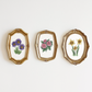 Pansy Art Print
