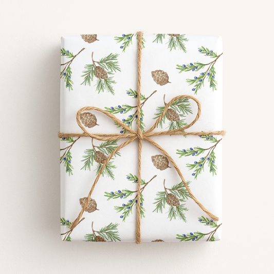 Pine Branch & Winter Berry Gift Wrap