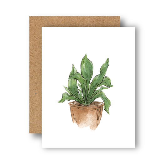 Staghorn Plant Everyday Greeting Card