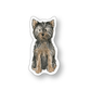 Yorkie Sticker