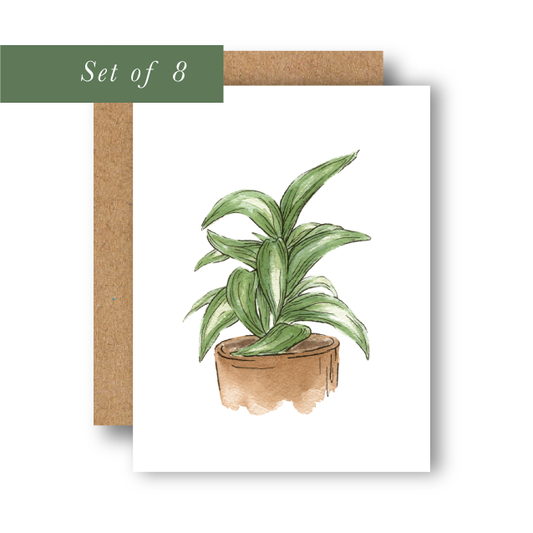 Set of 8 Dracaena Plant Greeting Cards