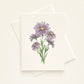 Aster Flower Everyday Greeting Card