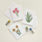 Daffodil Flower Everyday Greeting Card