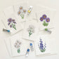Pansy Flower Everyday Greeting Card