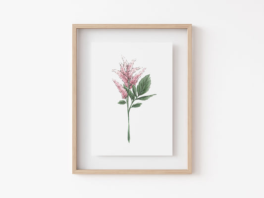Soft Pink Lilac Art Print
