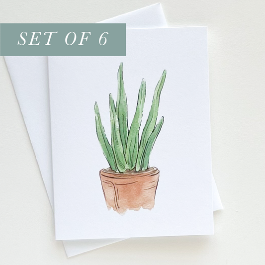 Set of 6 Aloe Plant Greeting Cards
