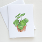 Friendship Plant Everyday Greeting Card
