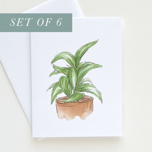 Set of 6 Dracaena Plant Greeting Cards