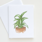 Dracaena Plant Everyday Greeting Card