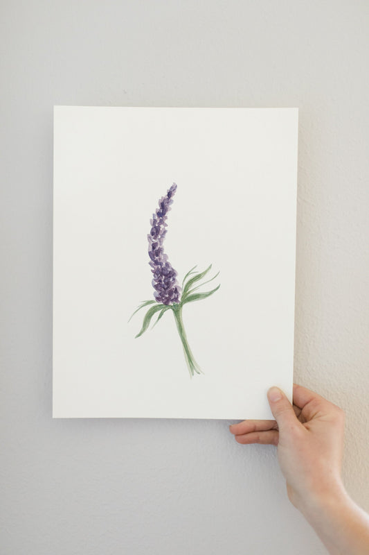 Lilac Art Print
