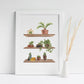 Plant Shelf Art Print
