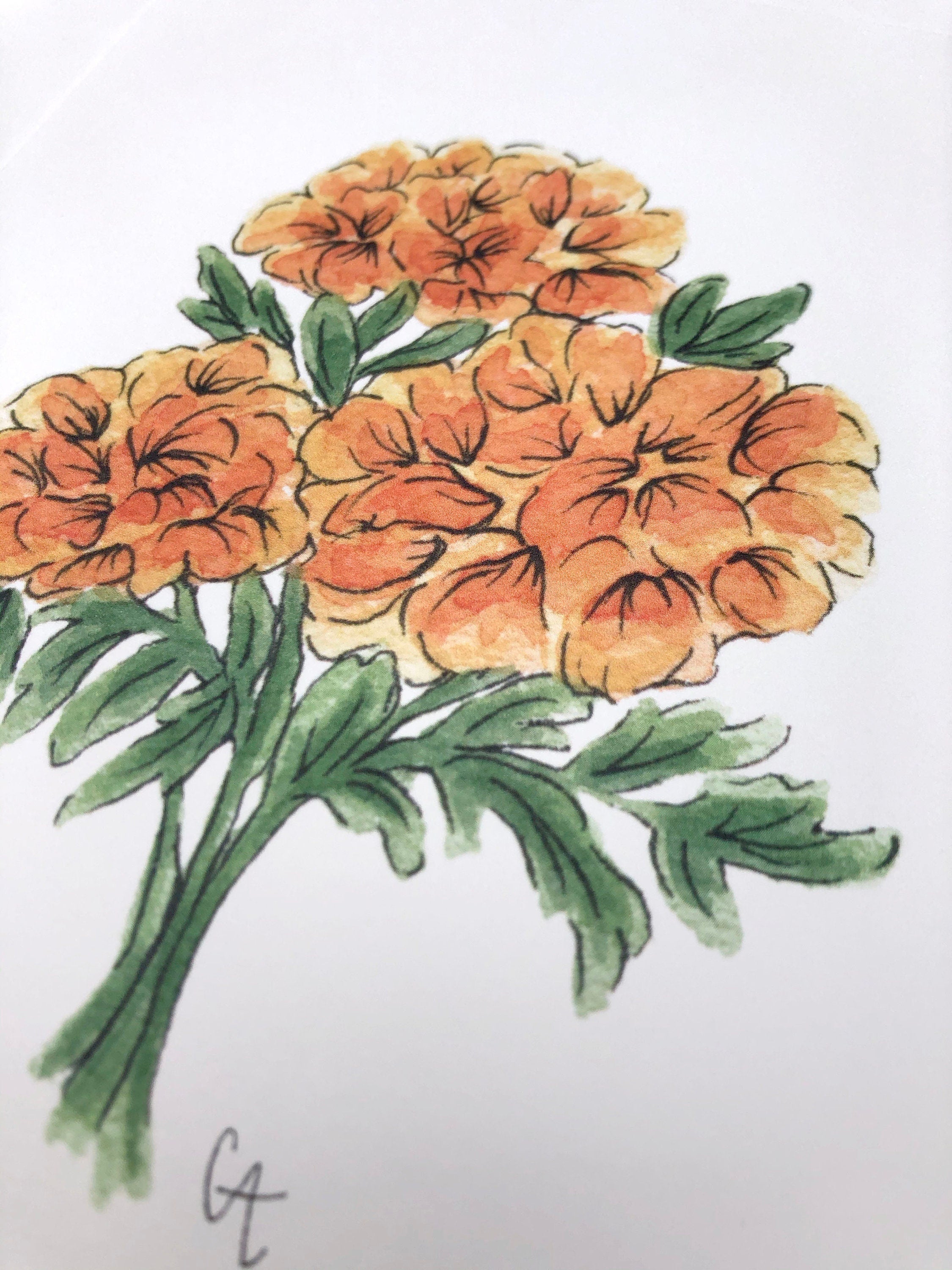Marigold Flowers - Floral Design - Posters and Art Prints | TeePublic